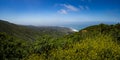 Yellow Mustard in Montara, California and Pacific Ocean