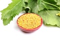 Yellow mustard seeds Royalty Free Stock Photo