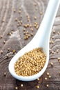 Yellow mustard seeds on spoon Royalty Free Stock Photo