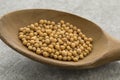 Yellow mustard seeds on a wooden spoon Royalty Free Stock Photo