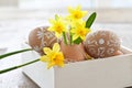 Yellow narcissus in egg shell Royalty Free Stock Photo