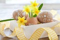 Yellow narcissus in egg shell Royalty Free Stock Photo