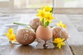 Yellow narcissus in egg shell Royalty Free Stock Photo