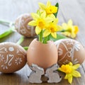 Yellow narcissus in egg shell Royalty Free Stock Photo