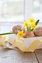 Yellow narcissus in egg shell Royalty Free Stock Photo