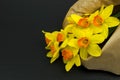 Yellow narcissus flowers on black table Royalty Free Stock Photo