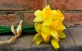 Bouguet on a wooden Board narcissus