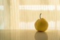 Yellow nashi pear fruit still life with sunlight white curtain background Royalty Free Stock Photo