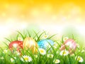 Yellow Nature Background with Easter Eggs in Grass