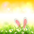 Yellow Nature Background with Easter Rabbit