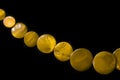 Yellow necklace made of round flat beads on a dark background Royalty Free Stock Photo