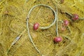 Yellow net for fishing with rope and red benefits Royalty Free Stock Photo