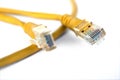 Yellow network cable Royalty Free Stock Photo