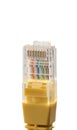 Yellow network cable with RJ45 connector on white background