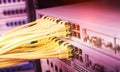 yellow network cable in switch and firewall in cloud computing data center Royalty Free Stock Photo