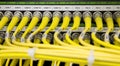 Yellow Network cables connected to the server Royalty Free Stock Photo