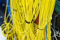 The yellow network cables in the server room for connecting to a network internet Royalty Free Stock Photo