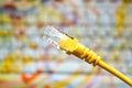 Yellow network internet cable on a laptop background Royalty Free Stock Photo