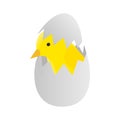 Yellow newborn chicken hatched from an egg icon Royalty Free Stock Photo