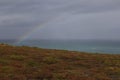 Yellow northern plants, rainbows and the Celtic Sea in French