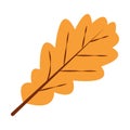 Yellow oak leaf hand drawn in flat style. Vector botanical illustration, eps 10, icon Royalty Free Stock Photo