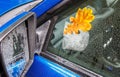 Yellow oak leaf on wet glass of a car Royalty Free Stock Photo