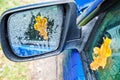 Yellow oak leaf on wet glass of a car Royalty Free Stock Photo