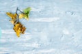 Yellow oak leaves rustic texture. Autumn minimal background