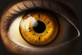 yellow oblong human eye with brown pupil