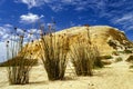 Yellow ochre hills in Portugal