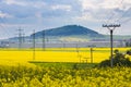 Yellow oilseed field and high-voltage electricity pylons Royalty Free Stock Photo