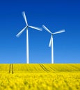 a yellow oilseed rape, rapeseed field with two white wind turbines Royalty Free Stock Photo