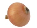 Yellow onion