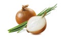 Yellow onion half green scallion 1 isolated on white background