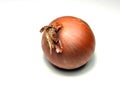 Yellow onion on a white background