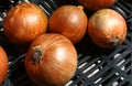 Yellow onions at Farmer`s market Royalty Free Stock Photo