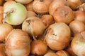 Yellow onions, farmers market Royalty Free Stock Photo