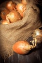 Yellow onions in rustic sack