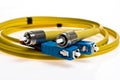 Yellow optic cable