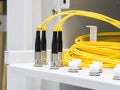 Yellow optical fiber with connector Royalty Free Stock Photo
