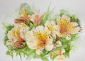 Yellow and orange alstroemeria flowers watercolour painting