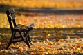 Yellow and orange autumn leaves, lonely bench in a park.