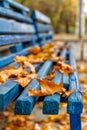 Yellow-orange autumn maple leaves on a blue wooden bench in the Royalty Free Stock Photo
