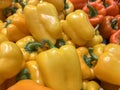 Colourful Fresh Yellow and Orange Peppers For Sale in Market. Royalty Free Stock Photo