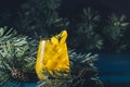 Yellow orange cocktail with tangerine and rosemary in glass on dark blue concrete background decorated pine branches with cones, Royalty Free Stock Photo