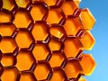 yellow and orange colored honey bubble , AI Generated
