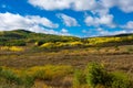 Autumn Colors Around Rabbit Ears Pass in September Royalty Free Stock Photo