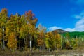 Autumn Colors Around Rabbit Ears Pass in September Royalty Free Stock Photo