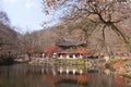 Yellow orange Maple leaf at Naejangsan Korea