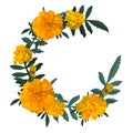 Yellow with orange flower marigold. Wreath. Vector illustration.